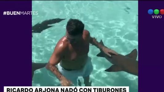 Ricardo Arjona se animó a nadar con tiburones