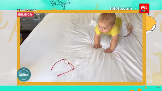 Emocionante: Mirko aprendió a gatear