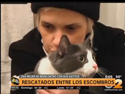 Rescatados de los escombros