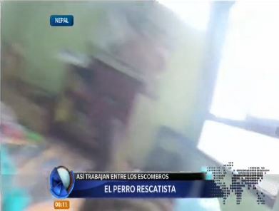 El perro rescatista de Nepal