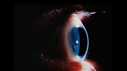 Un paseo por el interior humano en 10 fotos impactantes