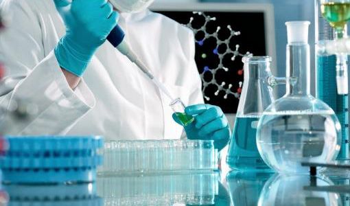 Probarán en humanos una droga capaz de ralentizar el Alzheimer