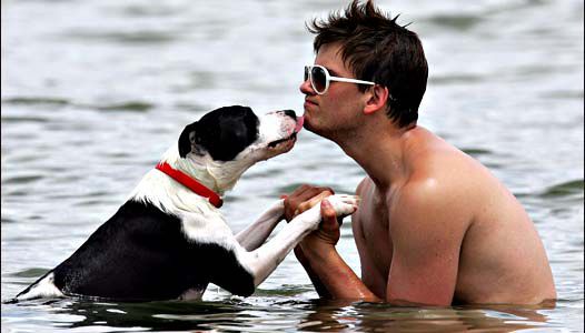 Si una persona te cae mal, a tu perro también, afirma un estudio