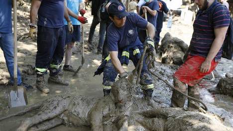 Un tigre que escapó del zoo de Georgia mató a un hombre e hirió a otro