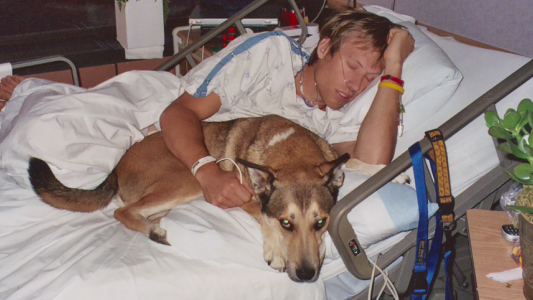 Video: El desgarrador adiós de un hombre a su inseparable perro