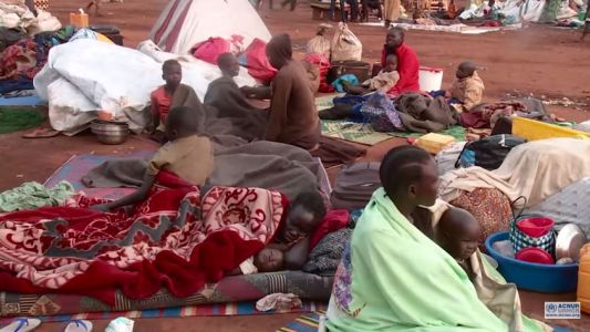 EXCLUSIVO WEB: El argentino que traslada refugiados de Burundi al Congo