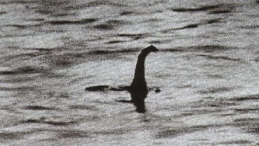 Luego de más de dos décadas de investigación, cree que el monstruo del lago Ness es un bagre gigante