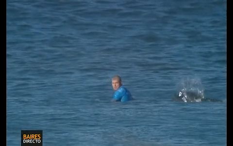 El ataque de un tiburón a un surfista