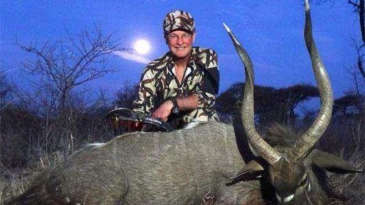 Buscan a otro médico estadounidense que mató a un león en Zimbabue