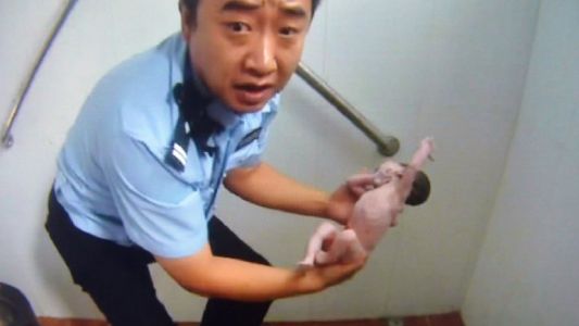 China: imágenes del conmovedor rescate de un recién nacido en un baño público