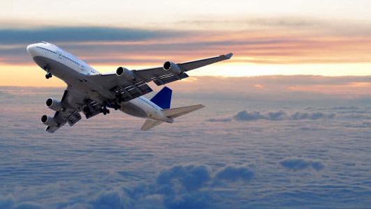 Tras la muerte del león Cecil, aerolíneas prohíben el traslado de "trofeos" de caza