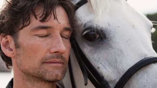 Descubren que los caballos tienen expresiones faciales similares a las de los hombres