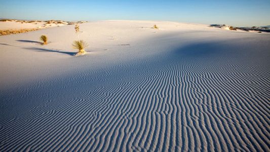 Murieron en un parque desértico pero salvaron a su hijo al darle su agua