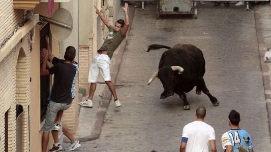 Cuatro hombres murieron por cornadas de toros en un mes y medio en España