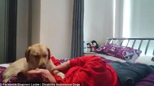 Mujer muestra cómo el perro la salva en un ataque de epilepsia