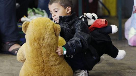 Alemania: esperan a los nenes refugiados con peluches