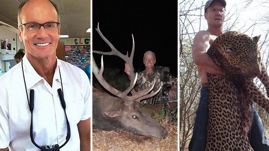 El dentista que mató al león Cecil dice que no está arrepentido