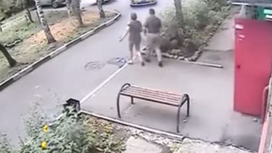 Rusia: una banda de "robapapas" se lleva un escarmiento