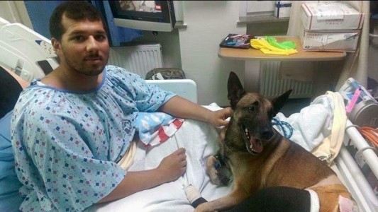 Se recuperan en el mismo hospital un soldado y su perro luego de ser heridos en Afganistán