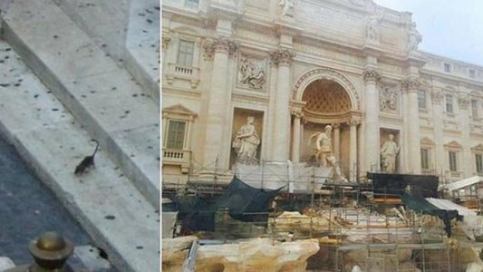 Roma aprueba un plan contra una plaga de ratas y multará por abandonar comida en la calle