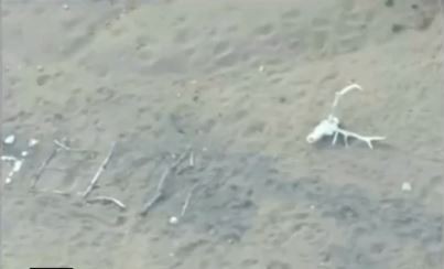 Una mujer de 72 años sobrevivió nueve días en el desierto