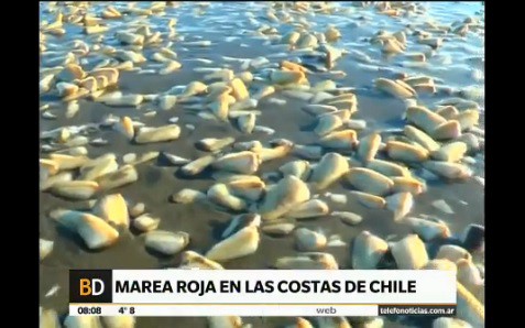 Marea roja en Chile
