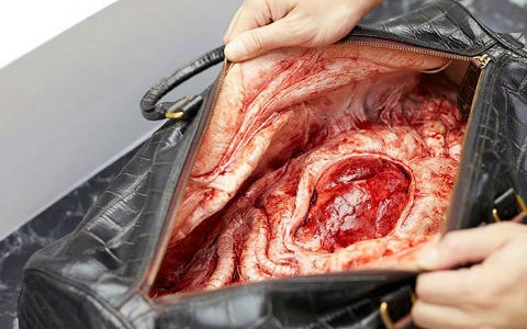 La polémica campaña de PETA que horroriza a los compradores de Bangkok