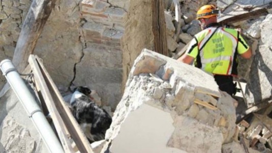 Italia: al menos 247 muertos por el terremoto