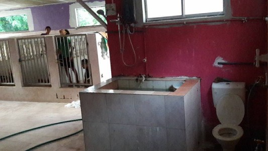 Denuncian que una residencia encierra a discapacitados en jaulas