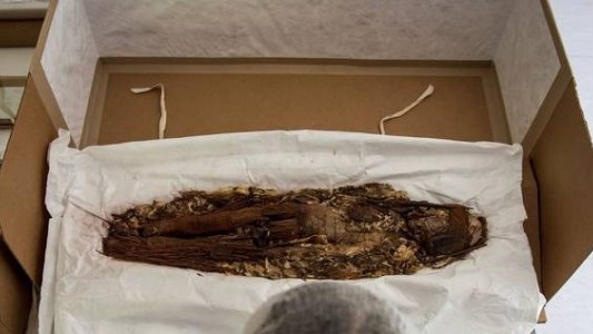 Buscan develar los secretos de las momias más antiguas del mundo