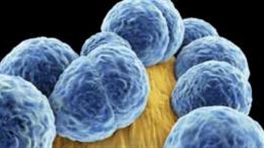 Alerta en Estados Unidos: murió una mujer por una bacteria "resistente a todo"