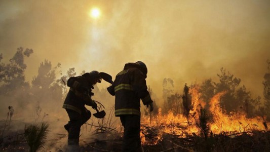 Continúan fuera de control los incendios forestales en Chile: al menos diez muertos