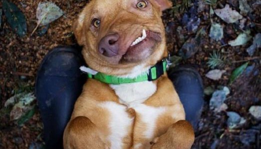 Lo iban a sacrificar por feo