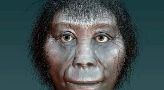 Descubrieron el origen del "hobbit"