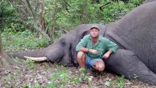 Cazador murió aplastado por un elefante luego de dispararle a sus crías