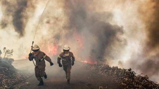 Tragedia en Portugal: al menos 62 muertos por un incendio forestal