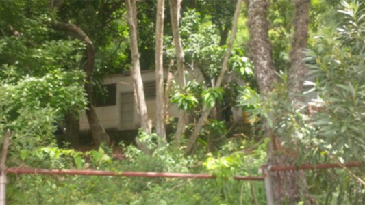 Torturaron y asesinaron a una profesora argentina en Venezuela