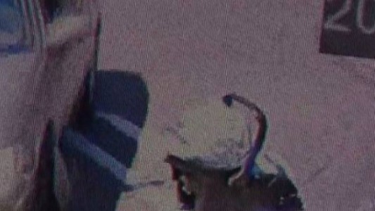 El video que indigna: un padre abandona a su hijo bebé en el estacionamiento de un shopping