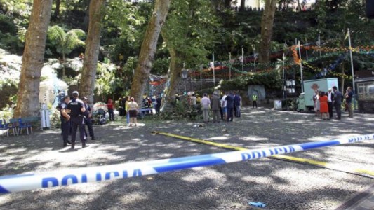 Tragedia Portugal: se cayó un árbol y mató a trece personas