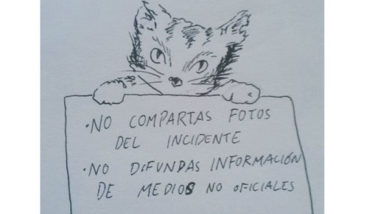 Atentado en Barcelona: los gatitos, el emblema contra la violencia