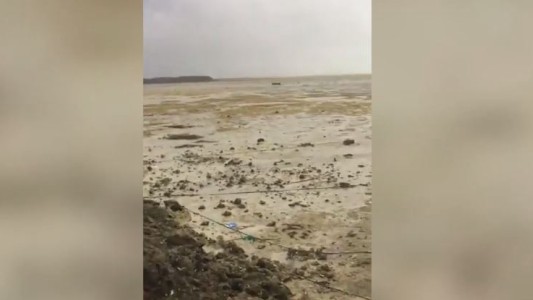 Un video muestra cómo el huracán Irma dejó una playa de las Bahamas sin mar