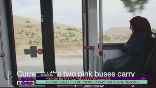Turquía: crean una línea de “micros rosas” sólo para mujeres