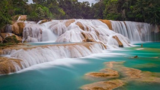 Preocupación en México por la desaparición de un "paraíso" acuático