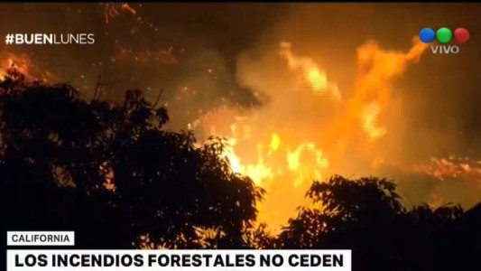 Un muerto por los incendios forestales en California
