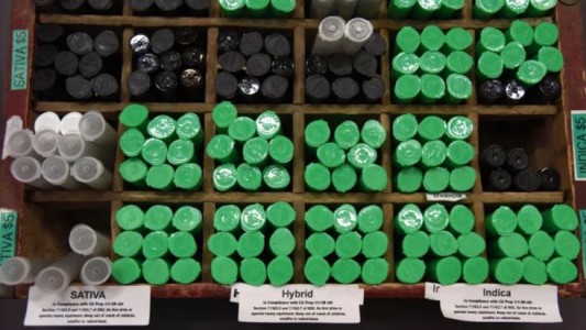 La venta de marihuana recreativa ya es legal en California