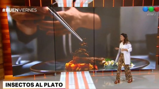 Europa autoriza los insectos como un alimento