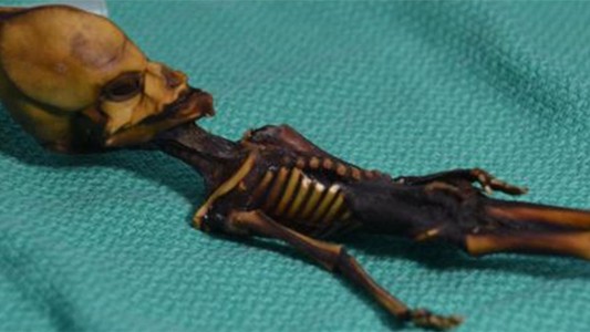 Se resolvió el misterio de "Ata", el falso extraterrestre encontrado en el desierto de Atacama