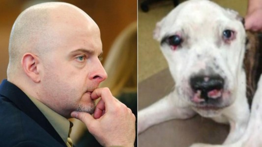 Condenado a prisión por maltratar a una perra que debió ser sacrificada