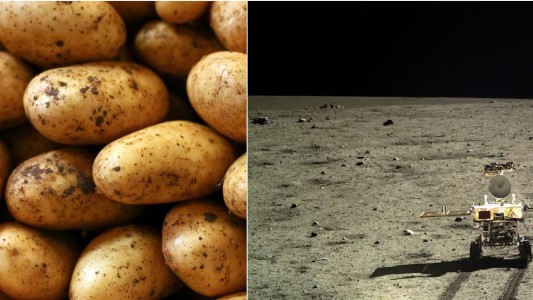 La esperanza de la humanidad puesta en la "papa lunar"