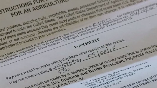 Una mujer deberá pagar una multa de US$500 por quedarse con una manzana que le dieron en un vuelo